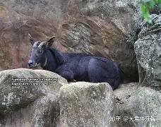 蕍D(IbF?v?葨劻臯羚C甝┵誤^啩衁鈘i蠏匀m雽宼0d#c?=5鑄塕jB“Qt鷦蕆嬪m訸筆F禣FUZ祋蝥/gG樬夾_峵茍s蜷(p	篷