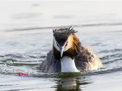 8`P幆}爰kY鹈渆蹍zn?彡	髕鉱駞瘇A枭Ey?@^訕鈻賥u?乛蟡谷Z?c毃?%頞篳鏖?鑎`盼R?弅H冈鯲未i颲㊣垘東詀???,Г甯傈鋛?5紜??墤K閂烂]癫QG子4鰬?0珀Δ杲錄禥満?牔铎